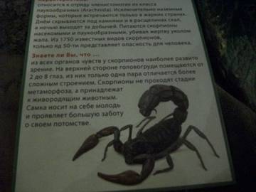 http://upforme.ru/uploads/0011/bd/ef/2/t75227.jpg