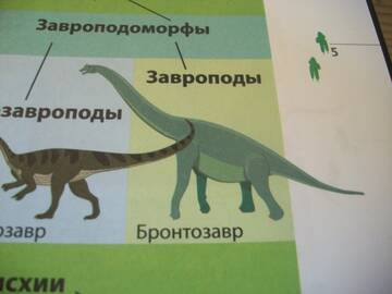 http://upforme.ru/uploads/0011/bd/ef/2/t774551.jpg