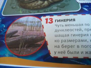 http://upforme.ru/uploads/0011/bd/ef/2/t792129.jpg