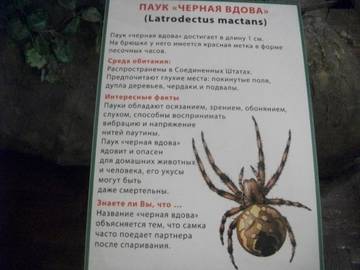 http://upforme.ru/uploads/0011/bd/ef/2/t830988.jpg