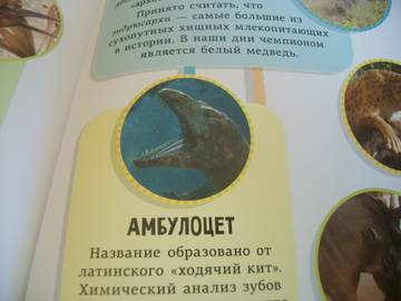 http://upforme.ru/uploads/0011/bd/ef/2/t910170.jpg