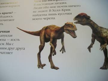 http://upforme.ru/uploads/0011/bd/ef/2/t950206.jpg