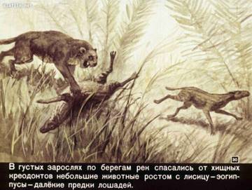 http://upforme.ru/uploads/0011/bd/ef/2/t97059.jpg
