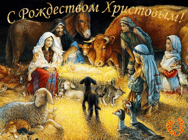 http://upforme.ru/uploads/0011/ce/80/2/362534.gif