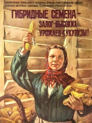 http://upforme.ru/uploads/0011/ce/80/491/t55036.jpg