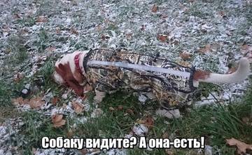 http://upforme.ru/uploads/0011/d9/5d/159/t14520.jpg