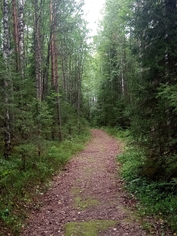 http://upforme.ru/uploads/0011/f5/51/654/178990.jpg