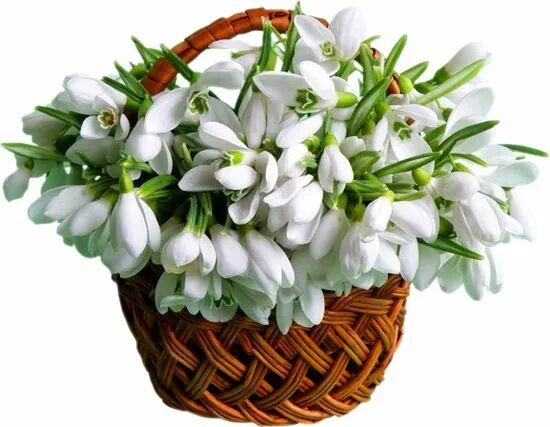 http://upforme.ru/uploads/0012/15/01/648/t408066.jpg