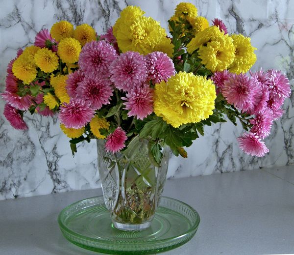 http://upforme.ru/uploads/0012/15/01/648/t564785.jpg