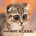 http://upforme.ru/uploads/0012/15/01/650/82154.gif