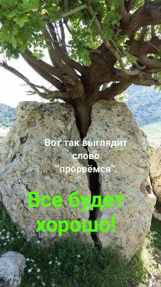 http://upforme.ru/uploads/0012/15/01/653/t556906.jpg