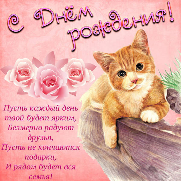 http://upforme.ru/uploads/0012/15/01/653/t738302.jpg