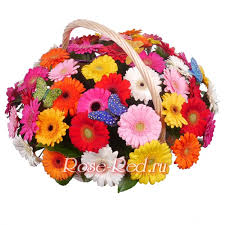 http://upforme.ru/uploads/0012/15/01/660/t696808.jpg