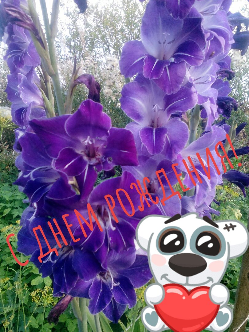 http://upforme.ru/uploads/0012/15/01/676/582141.jpg