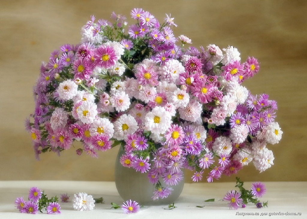 http://upforme.ru/uploads/0012/15/01/680/18557.jpg