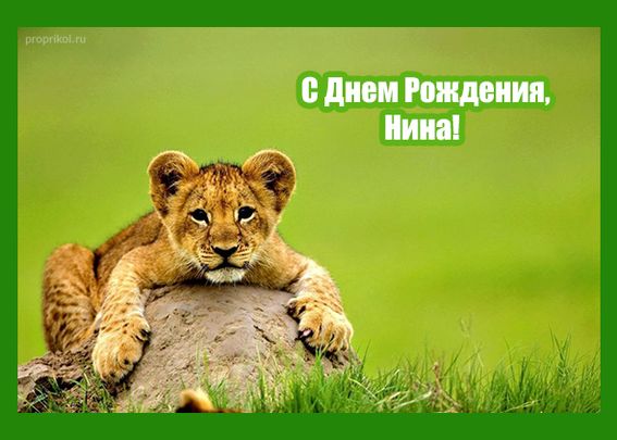 http://upforme.ru/uploads/0012/15/01/680/292077.jpg