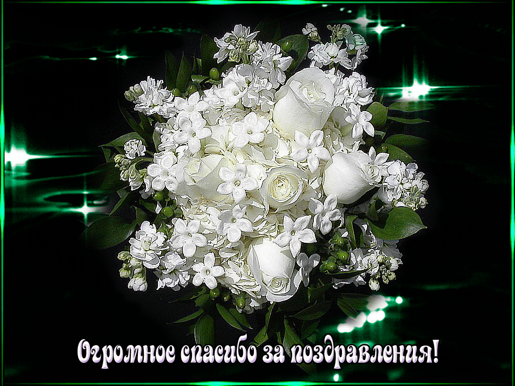 http://upforme.ru/uploads/0012/15/01/680/501878.gif