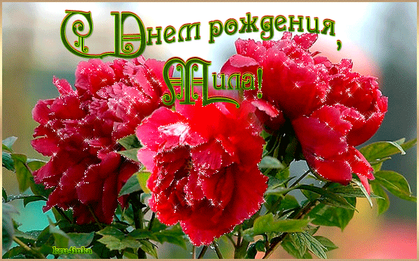 http://upforme.ru/uploads/0012/15/01/680/557008.gif
