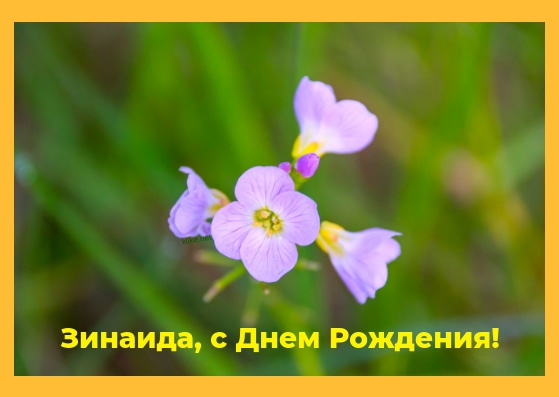 http://upforme.ru/uploads/0012/15/01/680/74613.jpg