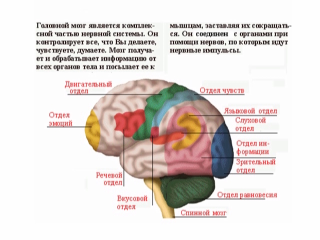 http://upforme.ru/uploads/0012/15/01/680/749777.jpg