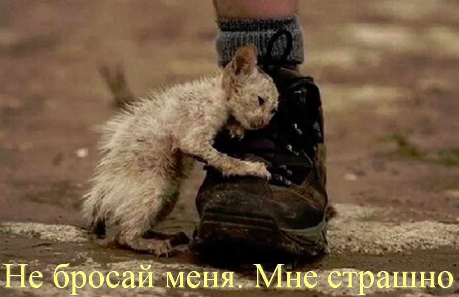 http://upforme.ru/uploads/0012/15/01/680/846402.jpg
