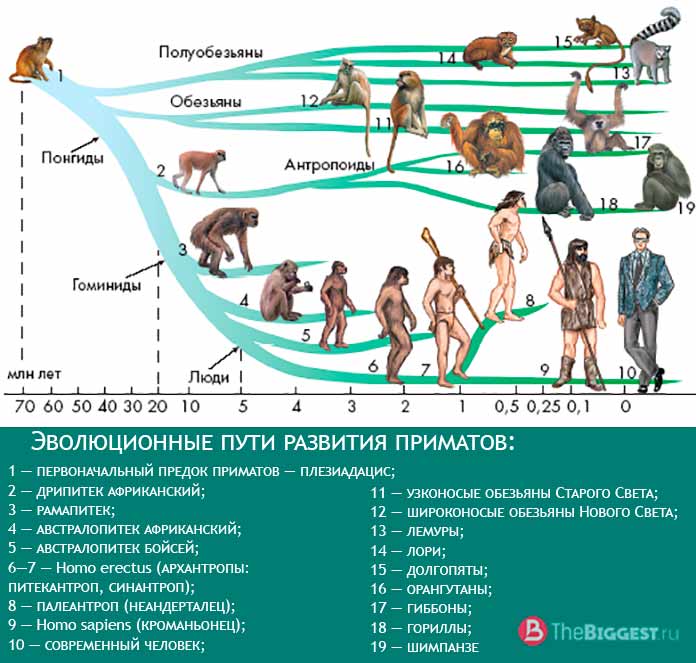http://upforme.ru/uploads/0012/15/01/680/96417.jpg