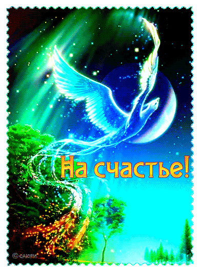 http://upforme.ru/uploads/0012/15/01/680/979971.gif