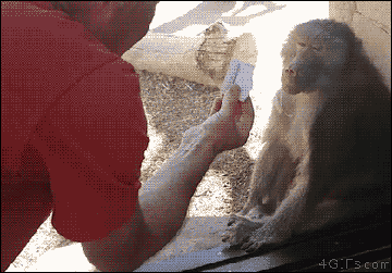 http://upforme.ru/uploads/0012/15/01/690/t77748.gif
