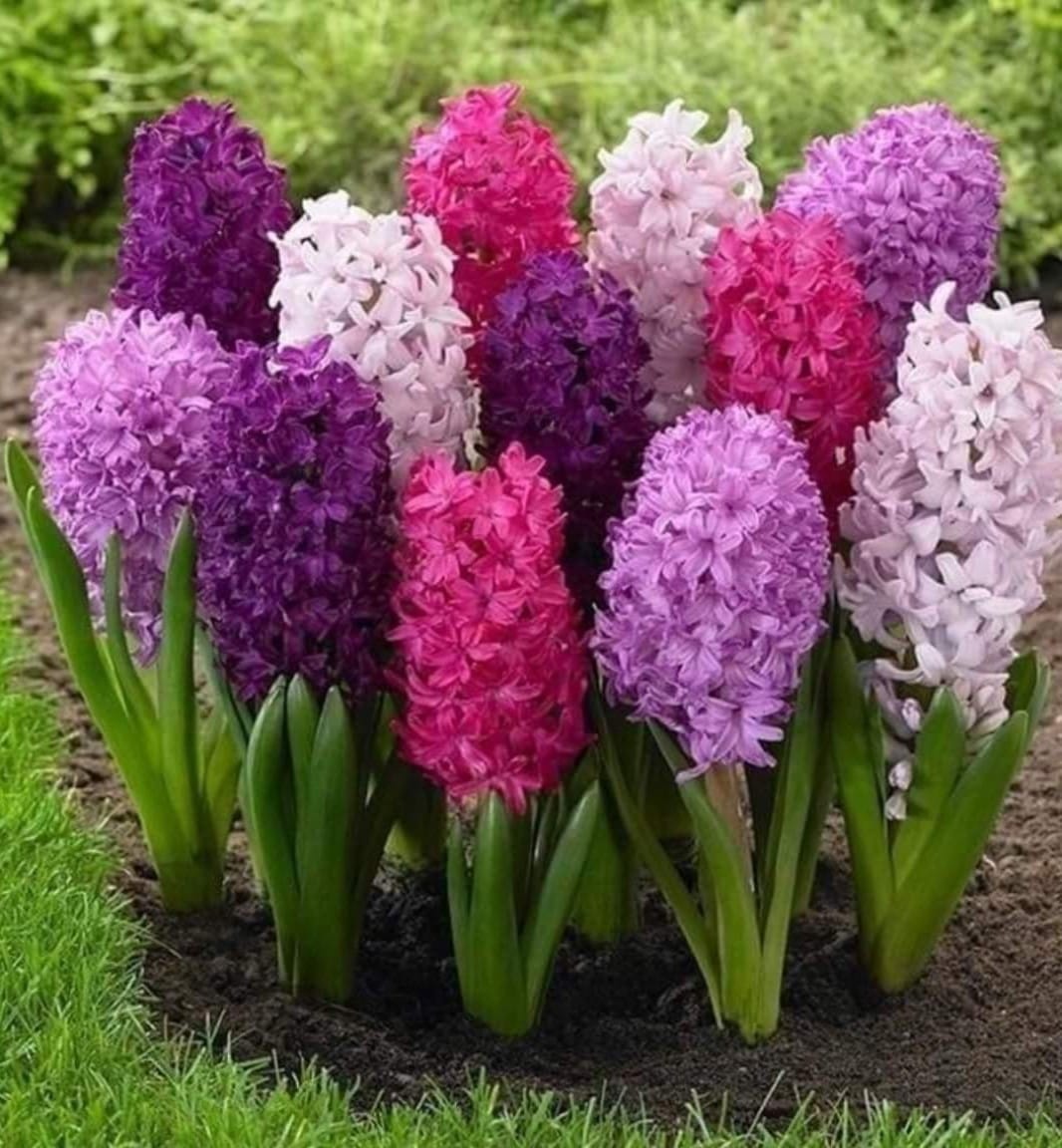 http://upforme.ru/uploads/0012/15/01/751/518605.jpg
