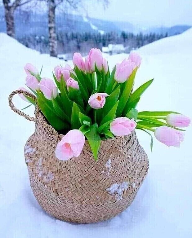 http://upforme.ru/uploads/0012/15/01/751/677741.jpg