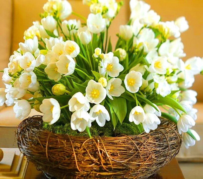 http://upforme.ru/uploads/0012/15/01/751/79386.jpg