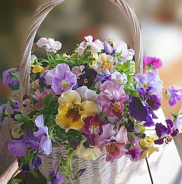 http://upforme.ru/uploads/0012/15/01/751/810966.jpg