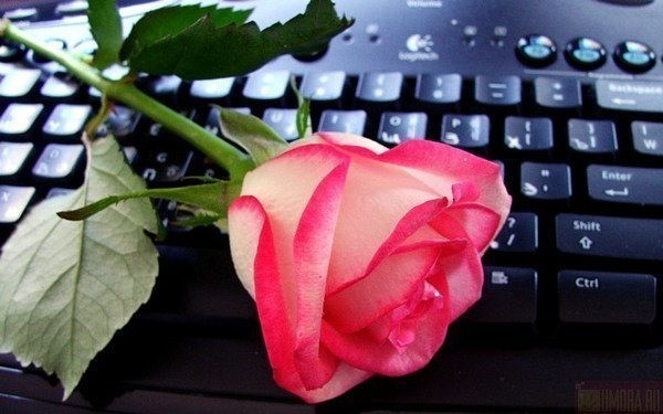 http://upforme.ru/uploads/0012/15/01/751/921413.jpg