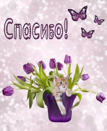 http://upforme.ru/uploads/0012/15/01/796/t117320.jpg