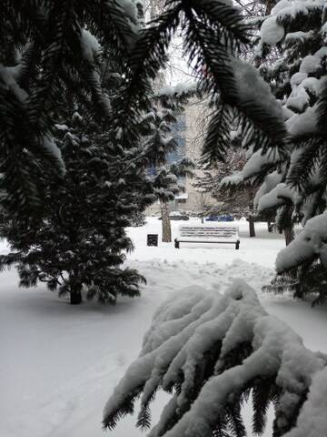 http://upforme.ru/uploads/0012/15/01/796/t130776.jpg