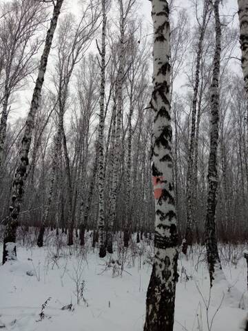 http://upforme.ru/uploads/0012/15/01/796/t236541.jpg
