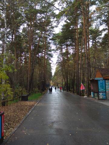 http://upforme.ru/uploads/0012/15/01/796/t559518.jpg
