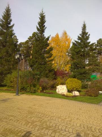 http://upforme.ru/uploads/0012/15/01/796/t631639.jpg