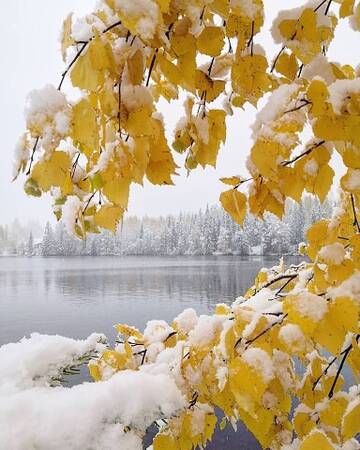 http://upforme.ru/uploads/0012/15/01/796/t707459.jpg
