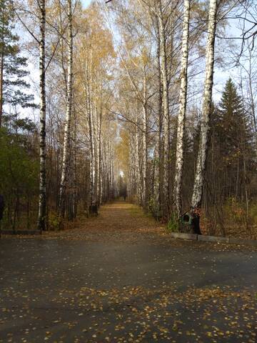 http://upforme.ru/uploads/0012/15/01/796/t722494.jpg