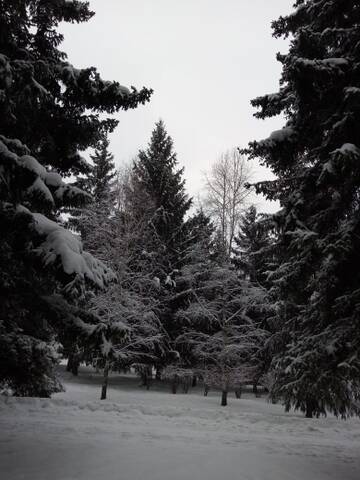 http://upforme.ru/uploads/0012/15/01/796/t731023.jpg