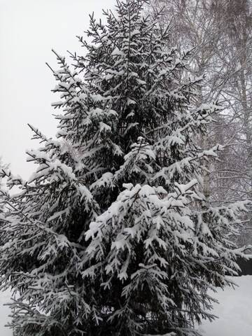 http://upforme.ru/uploads/0012/15/01/796/t756038.jpg