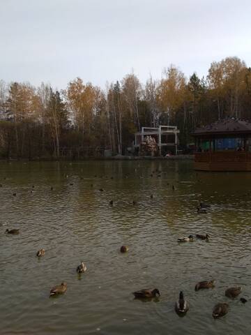 http://upforme.ru/uploads/0012/15/01/796/t815439.jpg