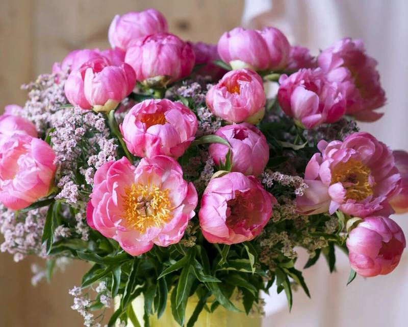 http://upforme.ru/uploads/0012/15/01/834/214306.jpg
