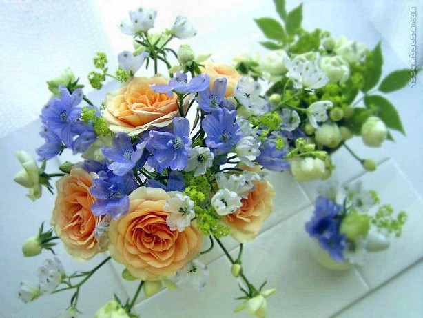 http://upforme.ru/uploads/0012/15/01/834/254626.jpg