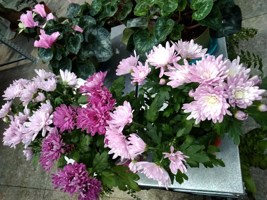 http://upforme.ru/uploads/0012/15/01/834/756372.jpg
