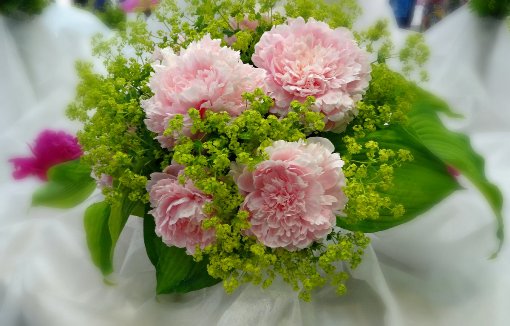 http://upforme.ru/uploads/0012/15/01/834/790488.jpg