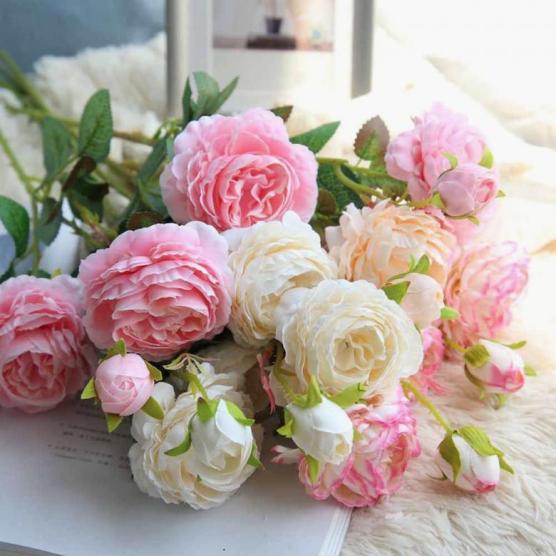 http://upforme.ru/uploads/0012/15/01/834/866507.jpg