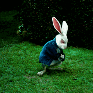 http://upforme.ru/uploads/0012/21/2b/2/t30307.gif