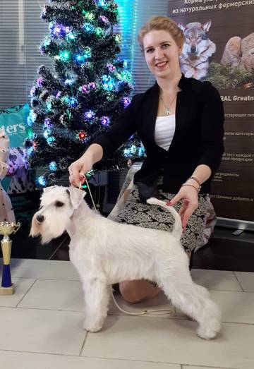 http://upforme.ru/uploads/0012/35/4a/2243/t786150.jpg